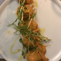 spicy falafel (not too spicy) at Brac Libreria di Arte Contemporanea in Florence