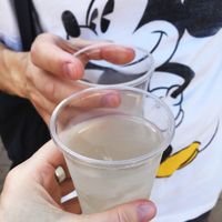 Birch kvass infused with pine cones. The best drink in the heat! at Tulsky Beryozovy Kvass Bragin Verkh in Tula