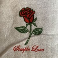 The napkins. Just thought it was cute to include  at Wasabi in Saratoga Springs