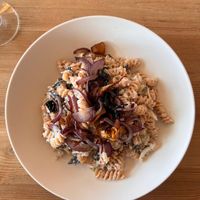 Creamy lentil pasta with wild forest mushrooms  at Aurora Holidays in Utsjoki