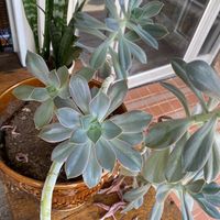   at dirt in Quakertown