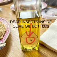 Insects inside several olive oil bottles ! at Bona'me in Hannover