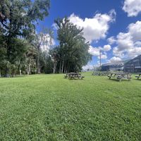 Back yard   at Wallace's at the Greenhouse in Homosassa