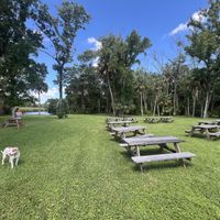   at Wallace's at the Greenhouse in Homosassa