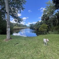   at Wallace's at the Greenhouse in Homosassa