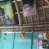  at Sativa Café Zanzibar in Zanzibar