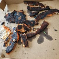 Some of the burnt base we scraped off. at Apollo Bay Distillery in Apollo Bay