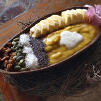  at Tribearth  in Diani Beach