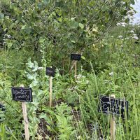   at Riverford Field Kitchen Restaurant in Buckfastleigh