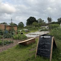   at Riverford Field Kitchen Restaurant in Buckfastleigh