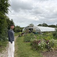   at Riverford Field Kitchen Restaurant in Buckfastleigh