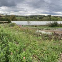   at Riverford Field Kitchen Restaurant in Buckfastleigh