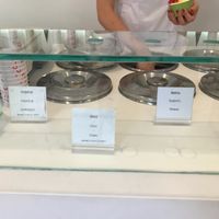 More vegan options (all pictured are vegan!). at Moritz Eis in Kotor