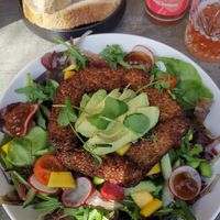 Vegam salad with tempeh at Juuls Domburg in Domburg