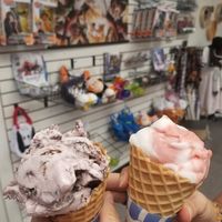 Chocolate raspberry soy ice cream and strawberry lemon sherbet at Wyliepalooza Ice Cream & Anime in Indianapolis