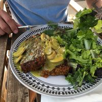 And nutroast with mushroom sauce at Inga's Veggie Heaven in Nicosia