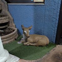 The deer outside :) at Chef Kenny's Vegan Dim Sum in Las Vegas