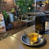 Hot House Tea at Galanga Thai Fusion in West Hollywood