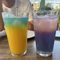   at Camelia Ododo in Sao Paulo