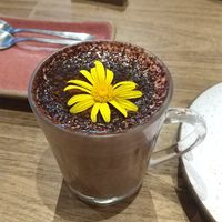  at Camelia Ododo in Sao Paulo