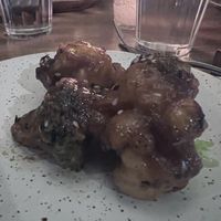   at Camelia Ododo in Sao Paulo