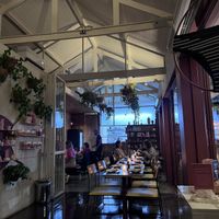   at Camelia Ododo in Sao Paulo