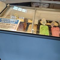 No vegan ice-cream at The Bulkeley Hotel in Beaumaris