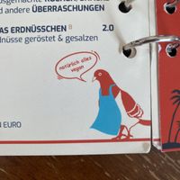   at INTRO in Karlsruhe