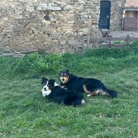  at L'Autre Ferme in Cherves-chatelars