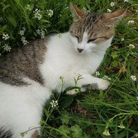  at L'Autre Ferme in Cherves-chatelars