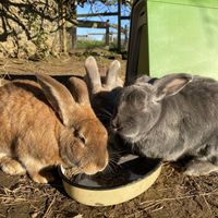   at L'Autre Ferme in Cherves-chatelars