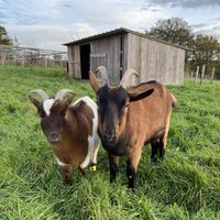   at L'Autre Ferme in Cherves-chatelars