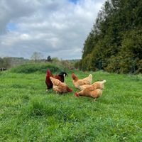  at L'Autre Ferme in Cherves-chatelars