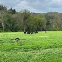  at L'Autre Ferme in Cherves-chatelars