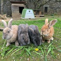  at L'Autre Ferme in Cherves-chatelars