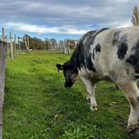   at L'Autre Ferme in Cherves-chatelars