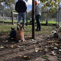   at L'Autre Ferme in Cherves-chatelars