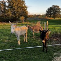   at L'Autre Ferme in Cherves-chatelars