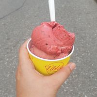 Plum and wildberry ice cream at Cafe Übleis in Mondsee