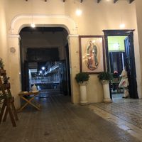 Chilled surroundings   at Crush in Merida