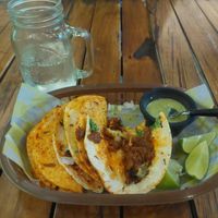 Seitan tacos. Munched before photo! at Crush in Merida