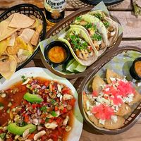 Mushroom ceviche with tortilla chips, tacos baja & “dogfish” empanadas  at Crush in Merida