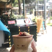 all compostagble at Gelateria Amareina in Rimini