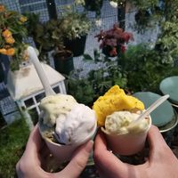  at Gelateria Amareina in Rimini