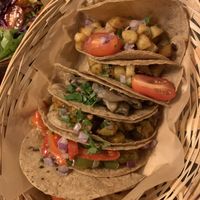 Mix of six vegan tacos   at Sabor Sabor in Rotterdam