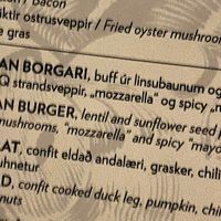 Vegan burger   at Sæta Svínið Gastropub in Reykjavik