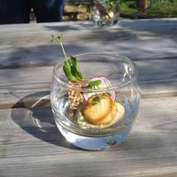  at Vegan Food Tour Utrecht in Utrecht