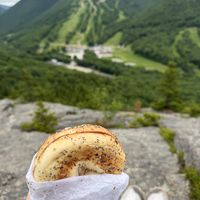Everything bagel with vegan cream cheese  at White Mountain Bagel Co in Lincoln