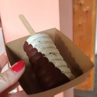 Vegan oreo yoghurt icecream at First Eet in Arnhem