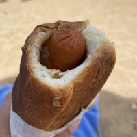 Veggie dog with pineapple relish and Hawaiian mustard  at Puka Dog in Koloa